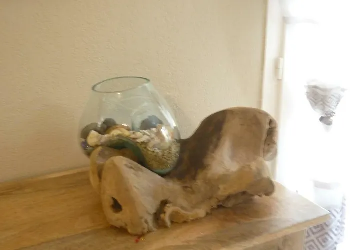 18 Parc De La Dune Vila *